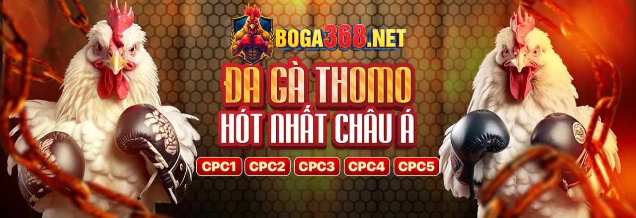 Hình ảnh giới thiệu 888top casino